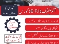 EFI-Automechanic-flyer
